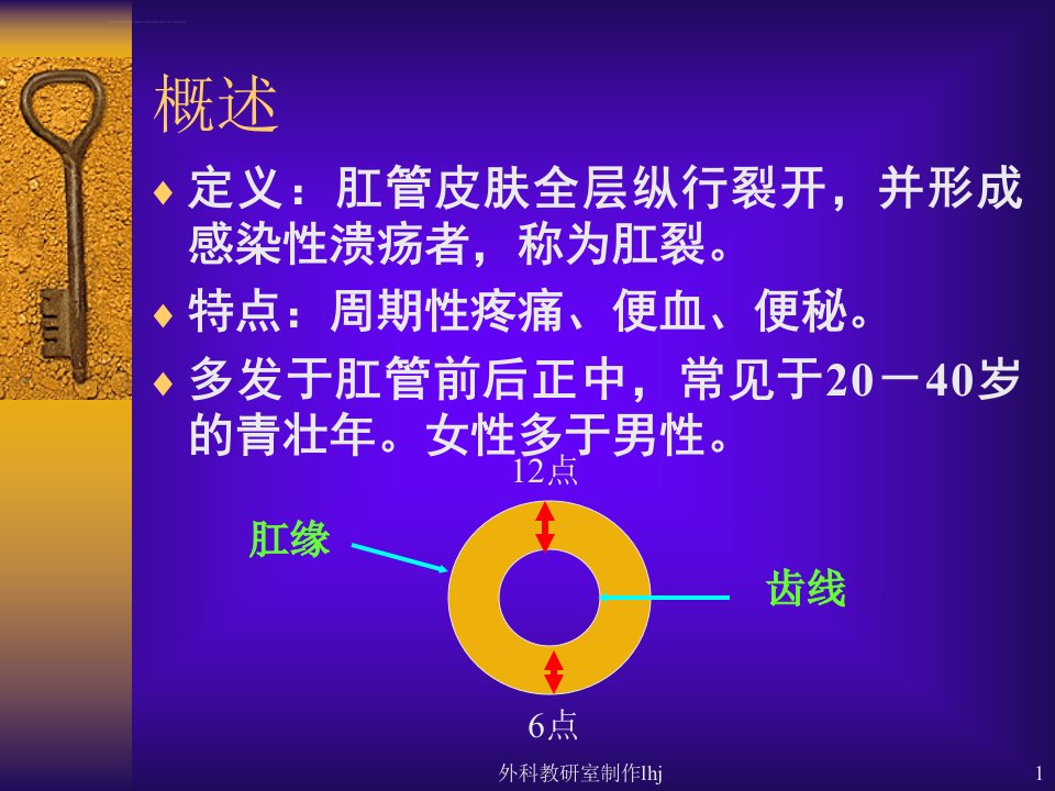 中医外科学肛裂ppt课件