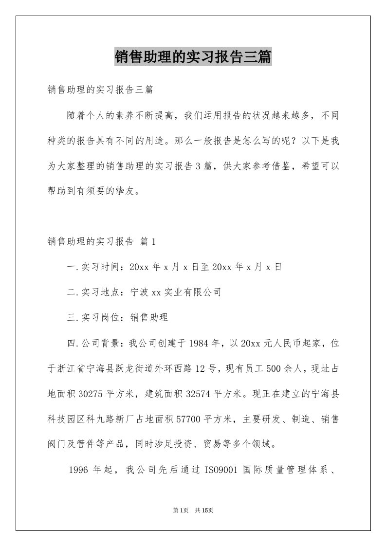 销售助理的实习报告三篇