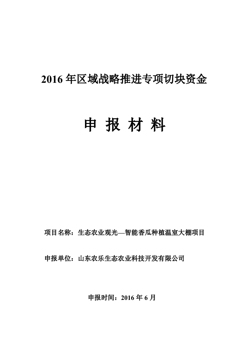 山东省区域战略推进切块资金申报材料大学毕设论文