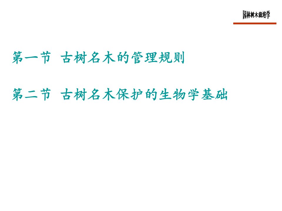 古树名木的养护和管理教育课件