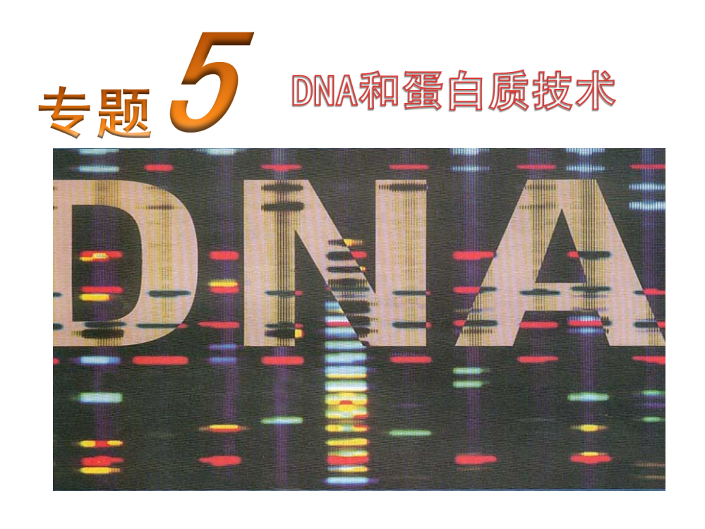 DNA的粗提取和鉴定