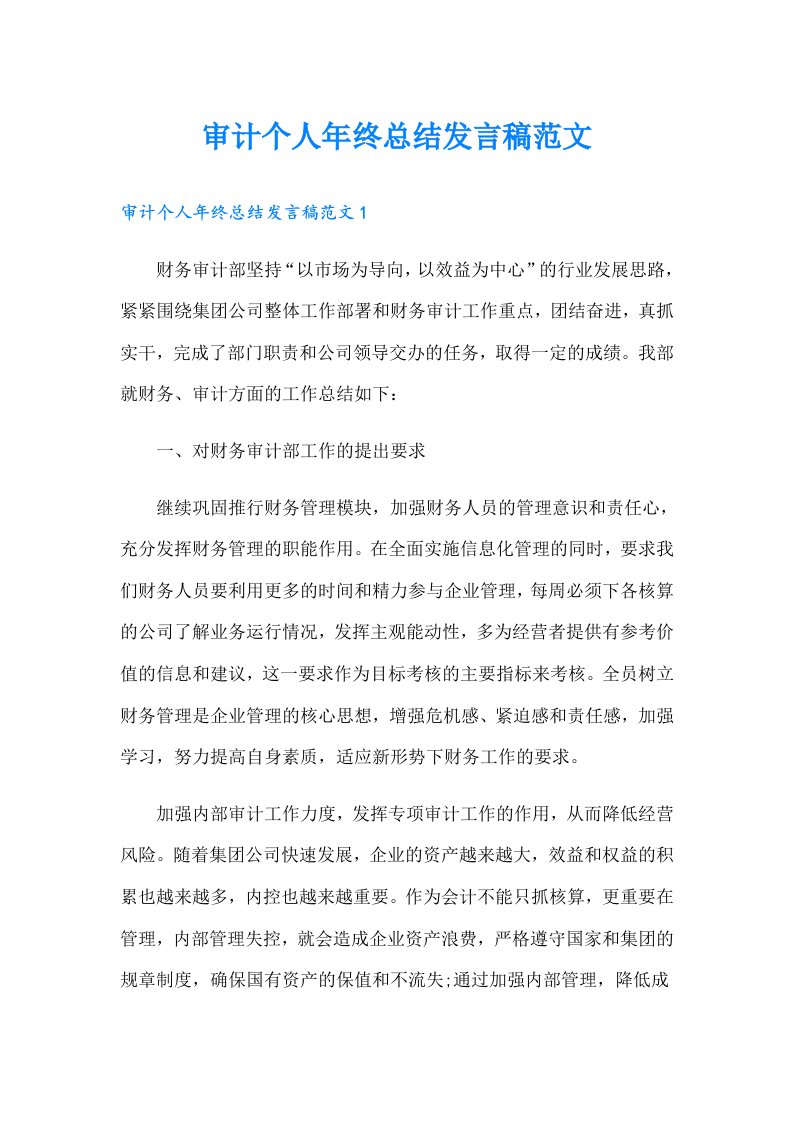 审计个人年终总结发言稿范文