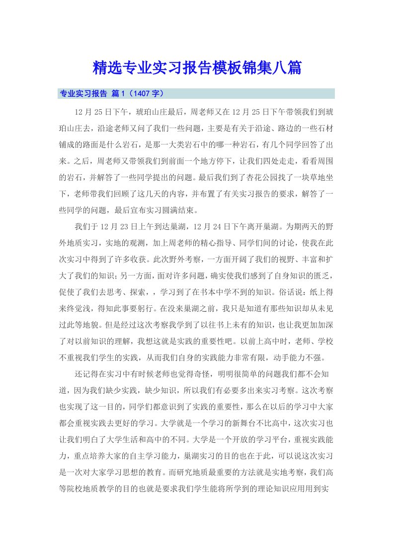 精选专业实习报告模板锦集八篇