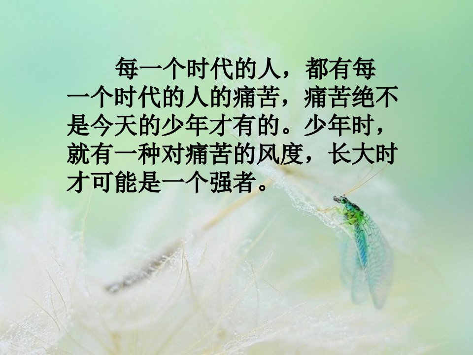 好书推荐《青铜葵花》