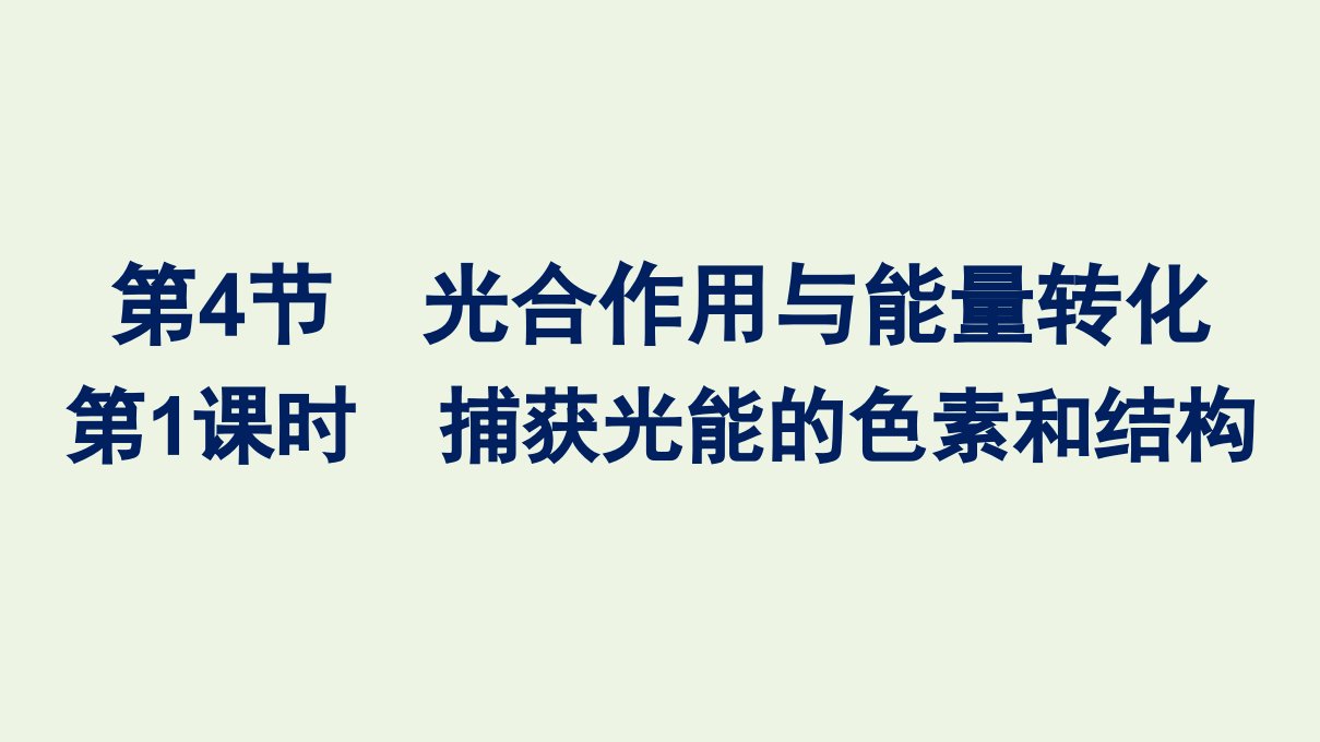 2021_2022学年新教材高中生物第5章细胞的能量供应和利用第4节第1课时捕获光能的色素和结构课件新人教版必修1