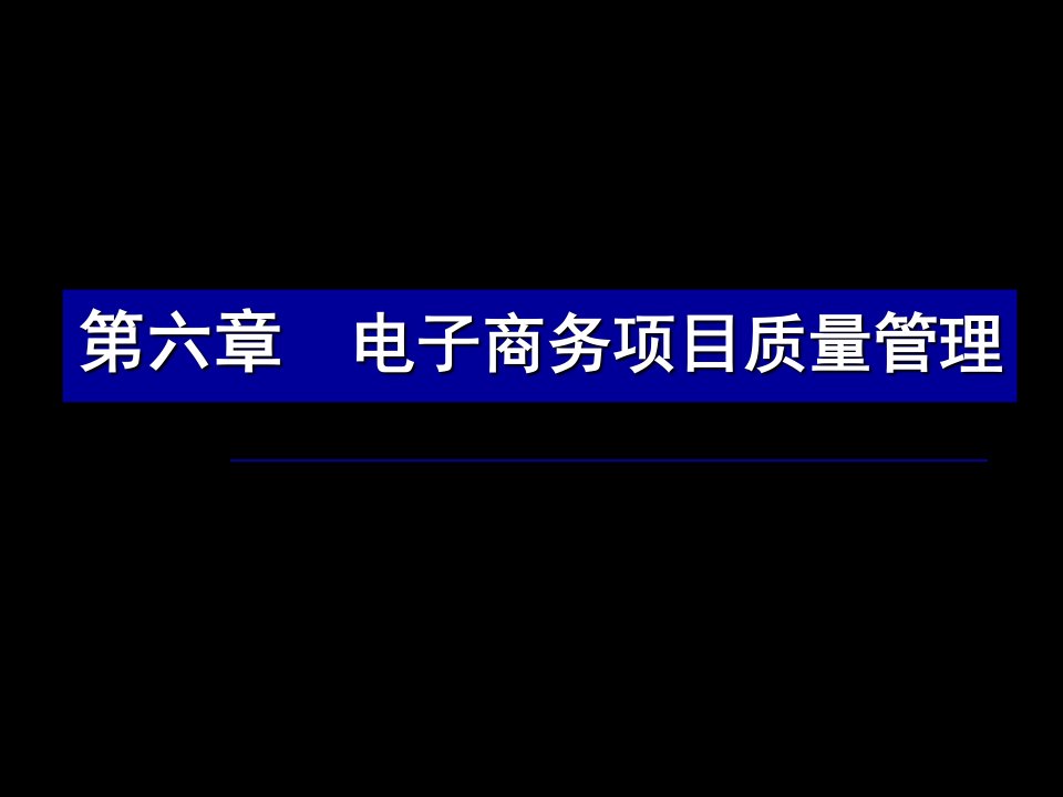 电子商务项目质量管理概述