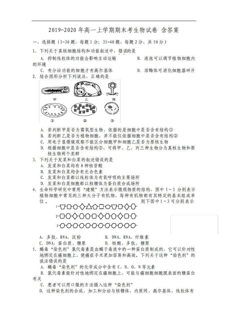 高一上学期期末考生物试卷含答案9156