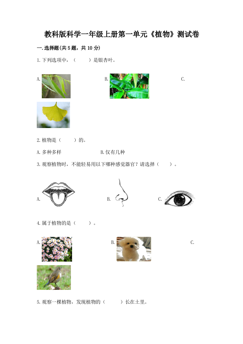 教科版科学一年级上册第一单元《植物》测试卷含答案(A卷)