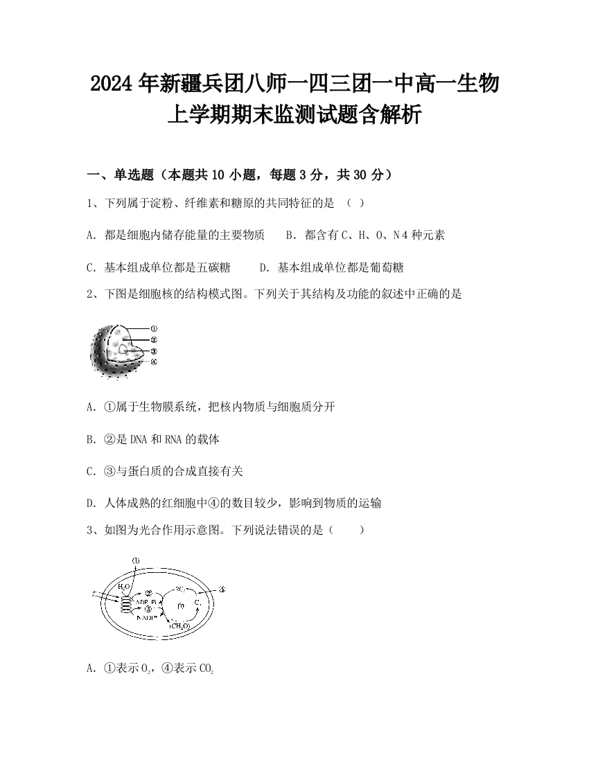 2024年新疆兵团八师一四三团一中高一生物上学期期末监测试题含解析