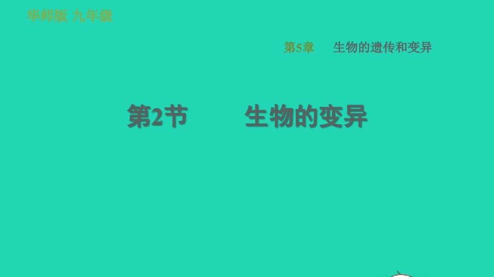 2022九年级科学下册第5章生物的遗传和变异2生物的变异习题课件新版华东师大版