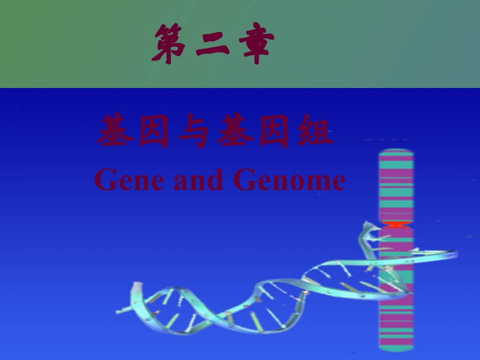 基因和基因组生物化学