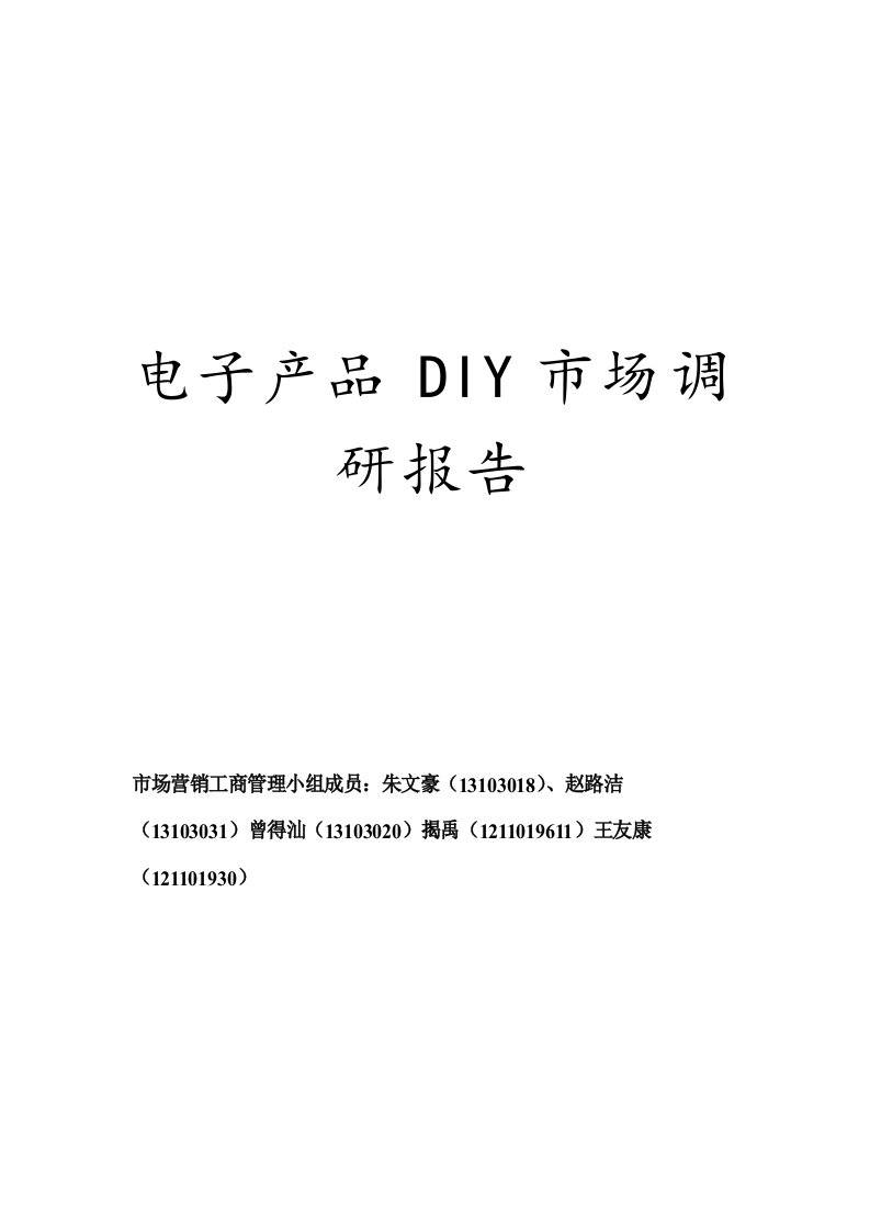 电子产品DIY市场调研报告