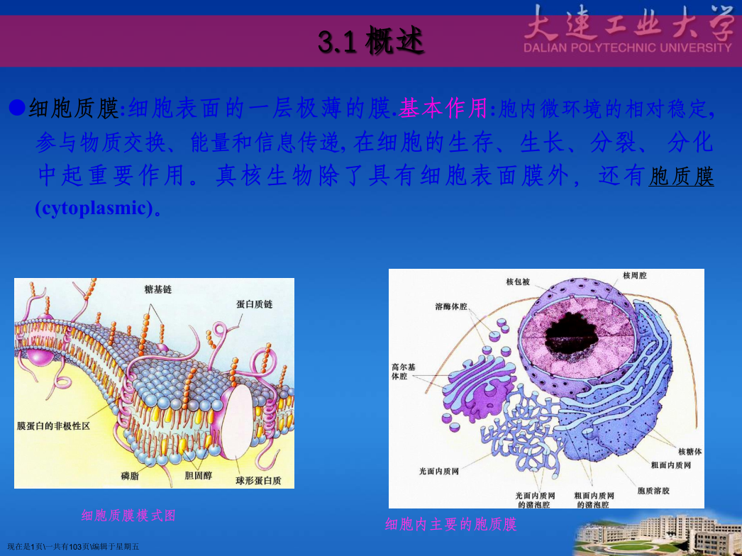 第章细胞质膜与跨膜运输