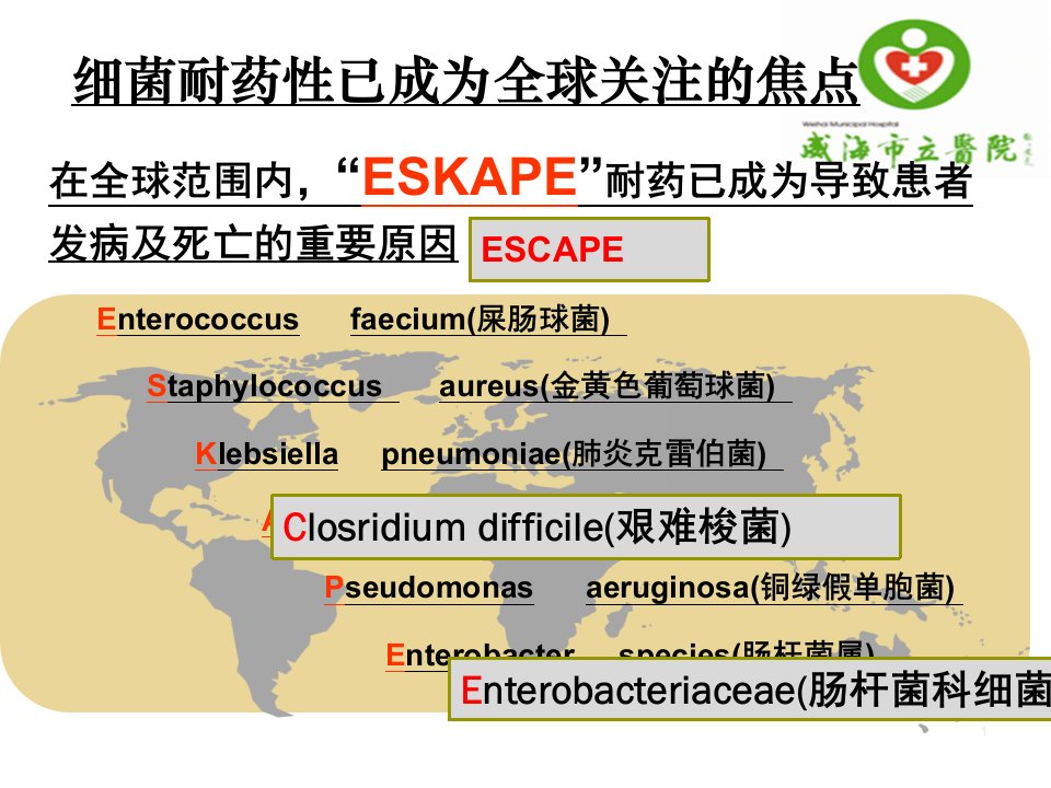 抗菌药物的合理应用完整版ppt课件