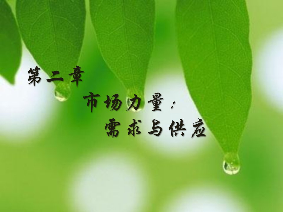 市场力量：需求与供应