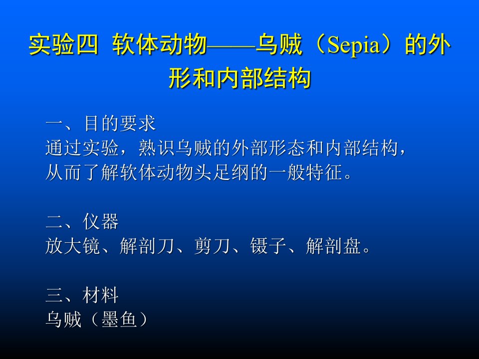 软体动物乌贼(sepia)的外形和内部结构