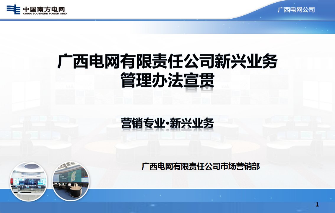 广西电网有限责任公司新兴业务管理细则