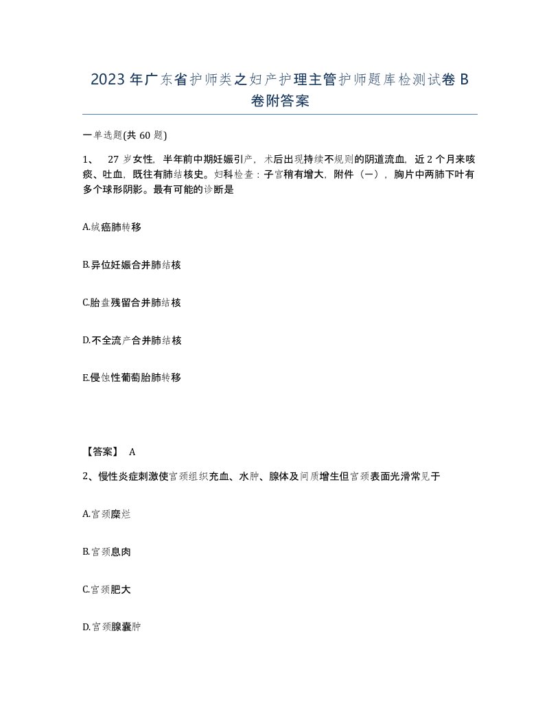 2023年广东省护师类之妇产护理主管护师题库检测试卷B卷附答案