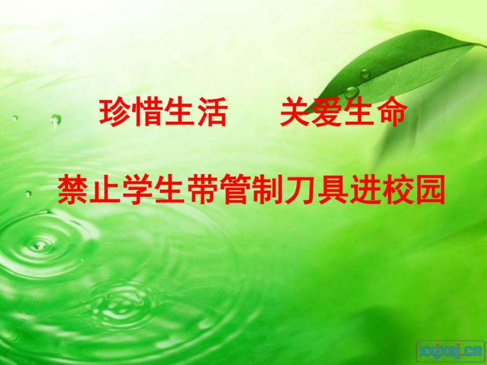 珍惜生命_管制刀具主题班会幻灯片.ppt