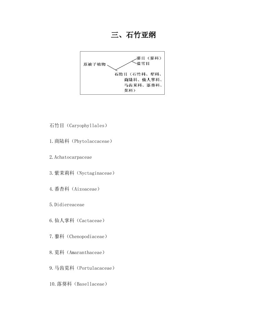 第八章3石竹亚纲