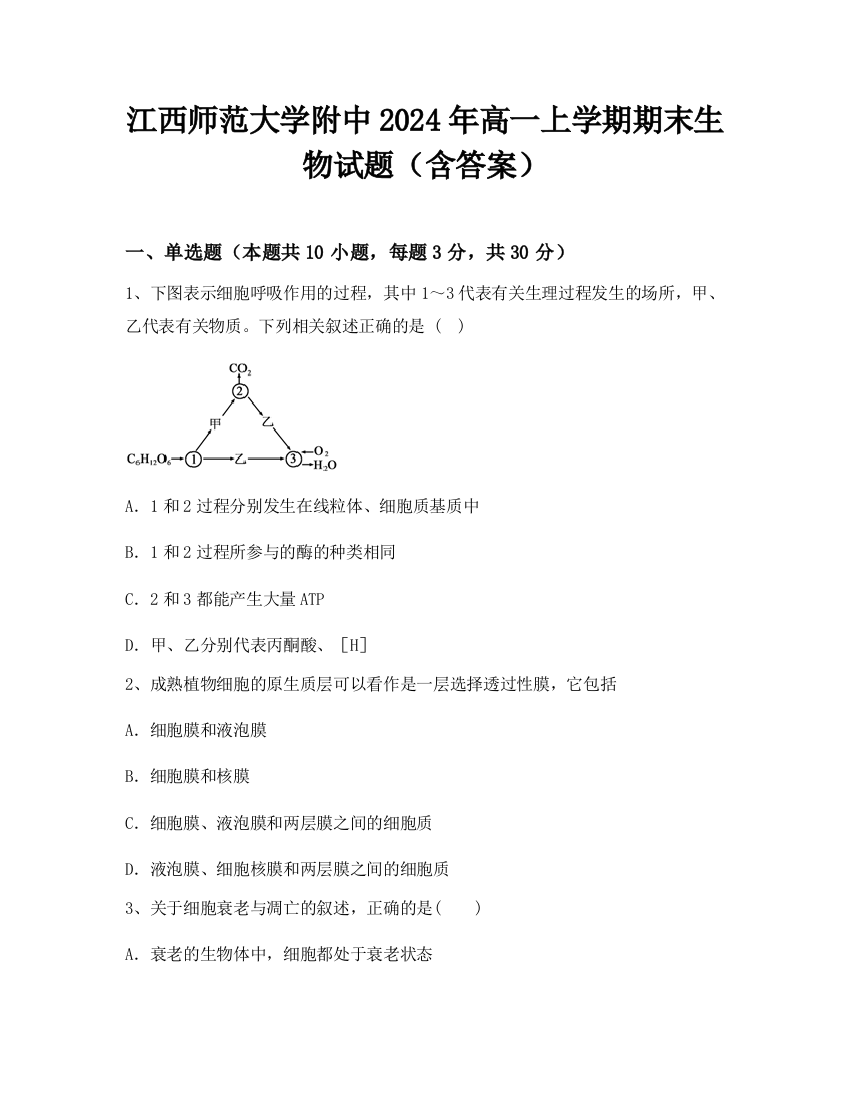 江西师范大学附中2024年高一上学期期末生物试题（含答案）