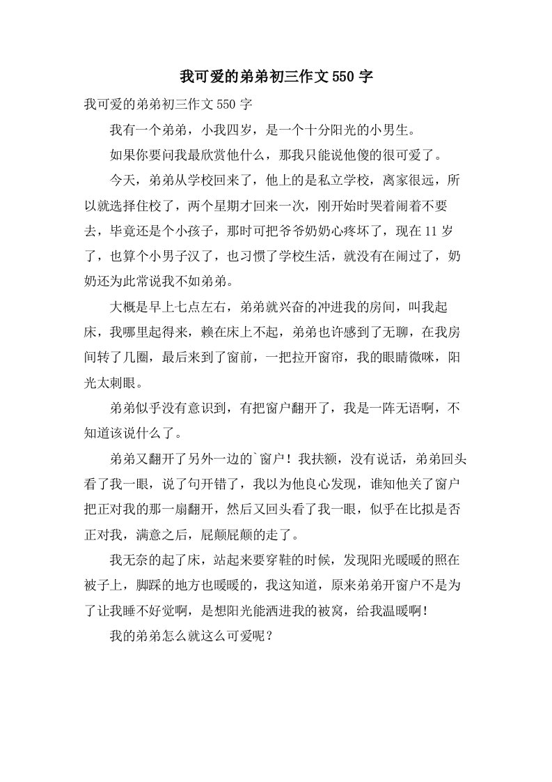 我可爱的弟弟初三作文550字