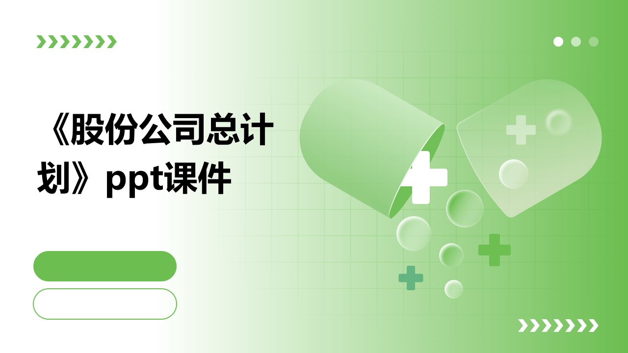 《股份公司总计划》课件