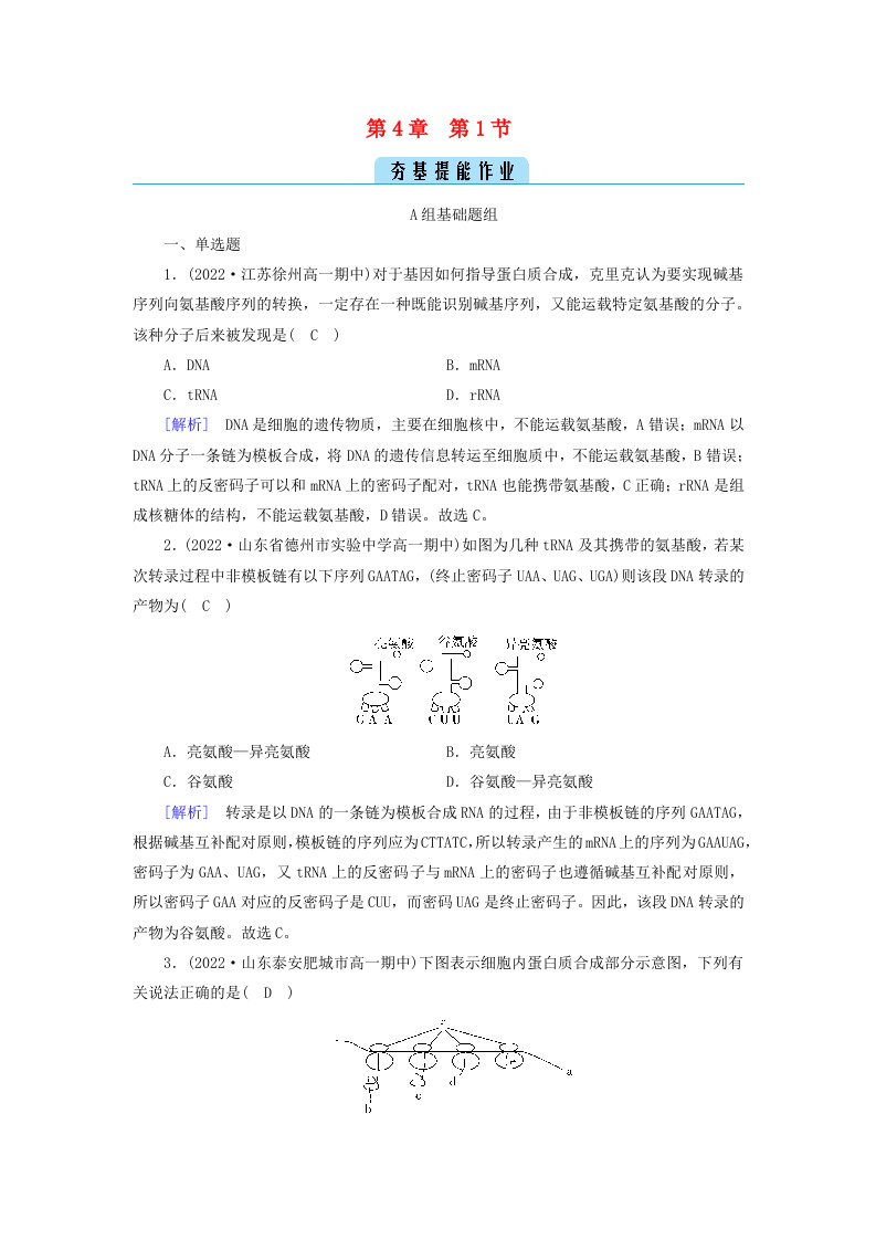 新教材2023年高中生物第4章基因的表达第1节基因指导蛋白质的合成提能作业新人教版必修2