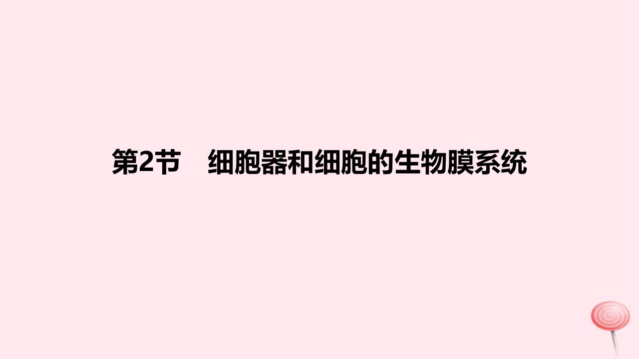 2024版高考生物一轮复习教材基础练第二章细胞的基本结构与物质运输第2节细胞器和细胞的生物膜系统教学课件