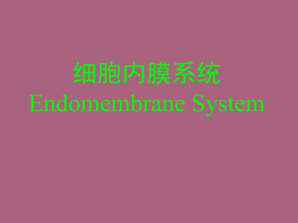 医学细胞生物学5_细胞的内膜系统ppt课件