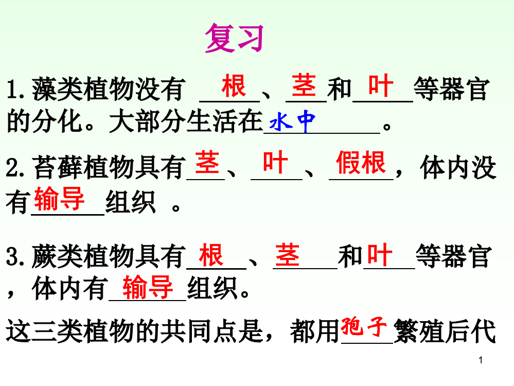 新人教版第二节种子植物ppt课件