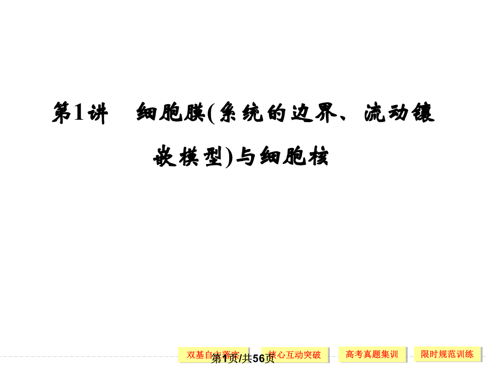 细胞膜系统的边界流动镶嵌模型与细胞核