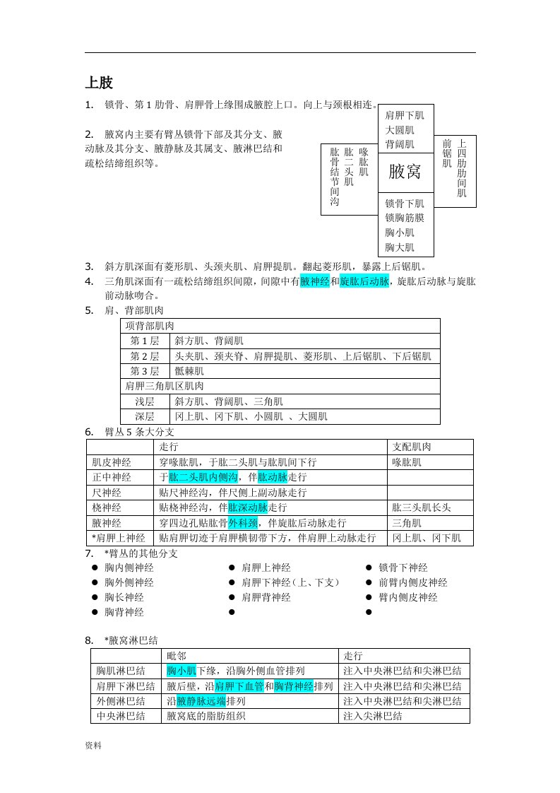 局部解剖学笔记整理