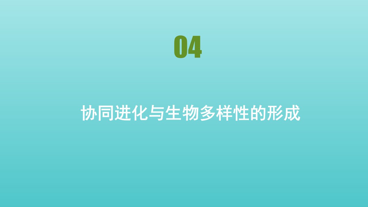 新教材高中生物第6章生物的进化第4节协同进化与生物多样性的形成课件新人教版必修2