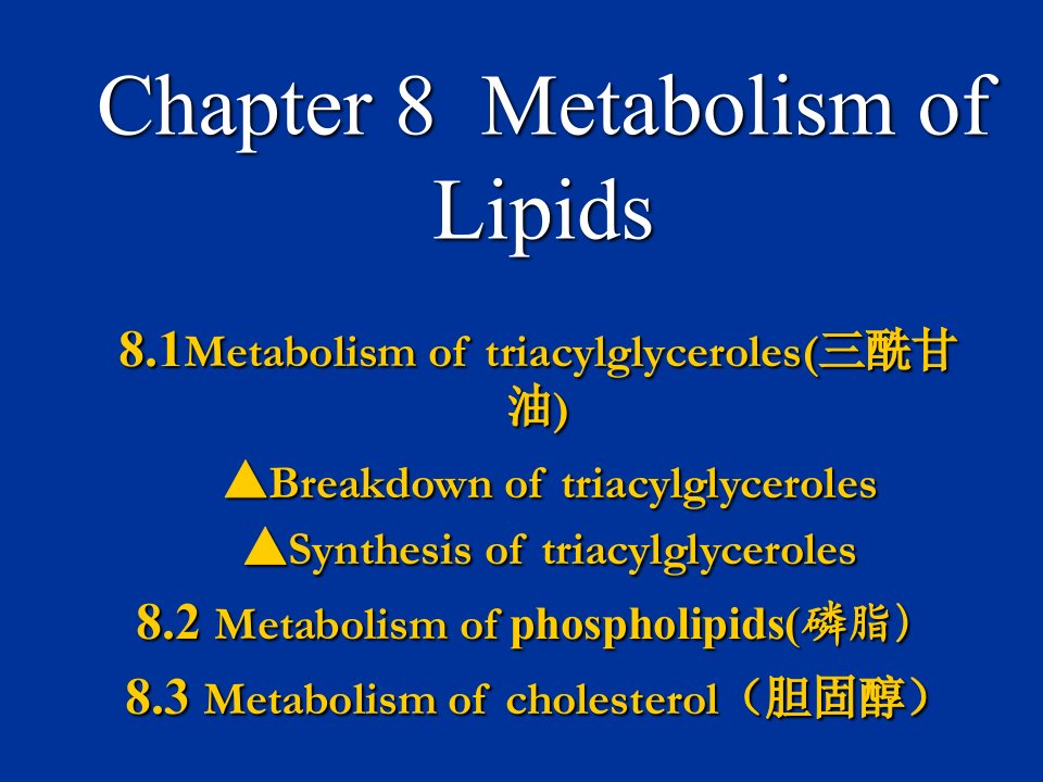 生物化学(王镜岩版)第八章