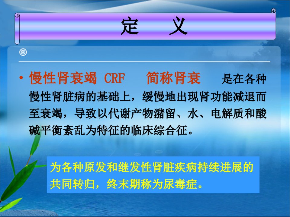 慢性肾衰竭患者的护理查房课件