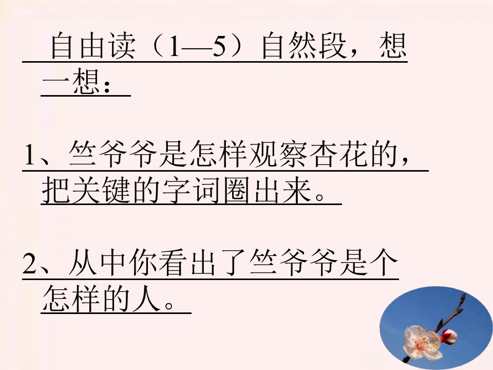 第一朵杏花教学课件