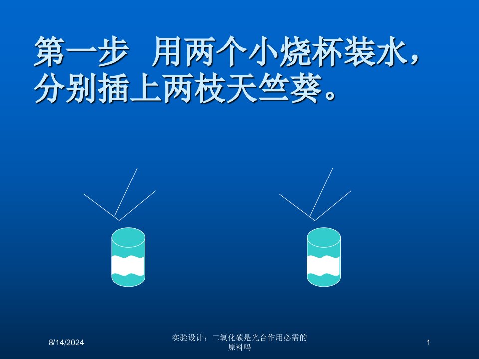 2020年实验设计：二氧化碳是光合作用必需的原料吗