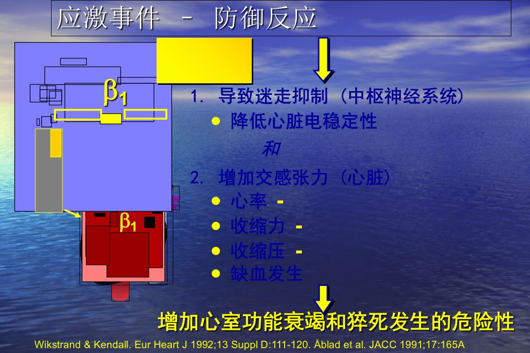 B他阻滞剂在心血管疾病中的临床应用PPT课件