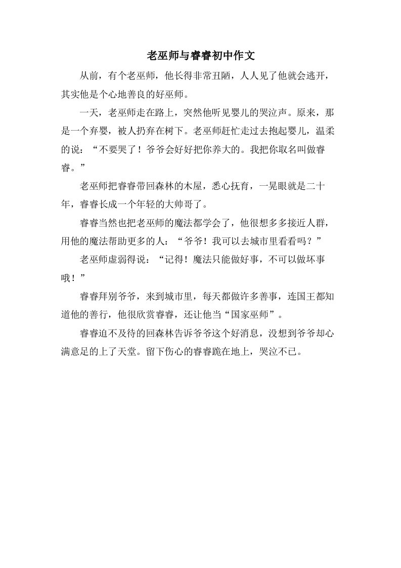 老巫师与睿睿初中作文