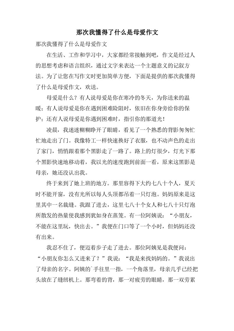 那次我懂得了什么是母爱作文