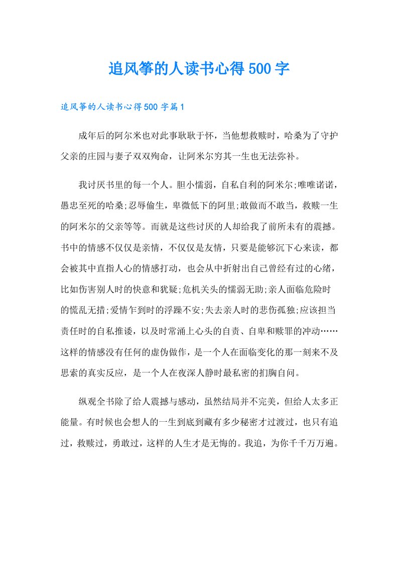 追风筝的人读书心得500字