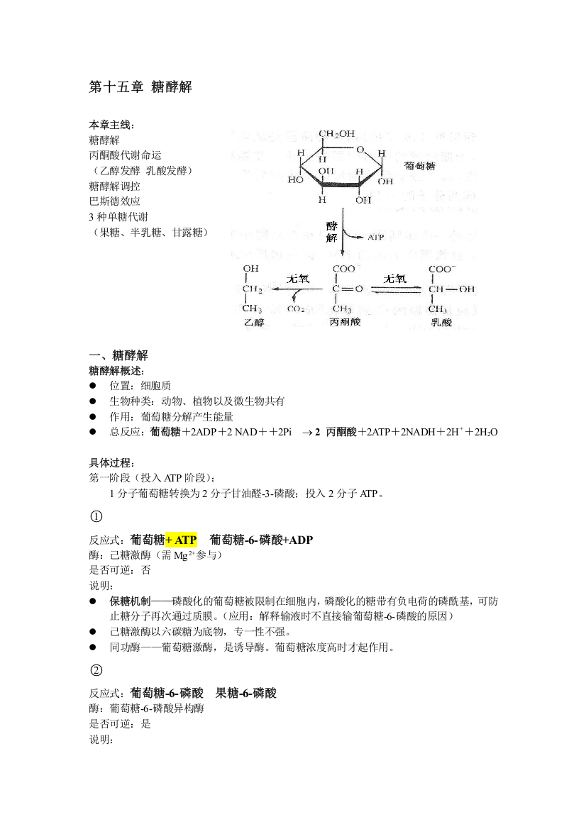 生物化学原理糖酵解