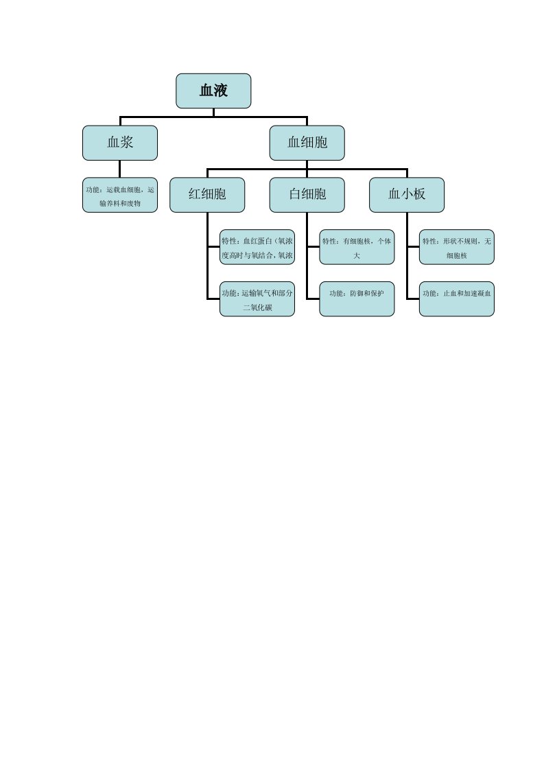 血液成分结构图