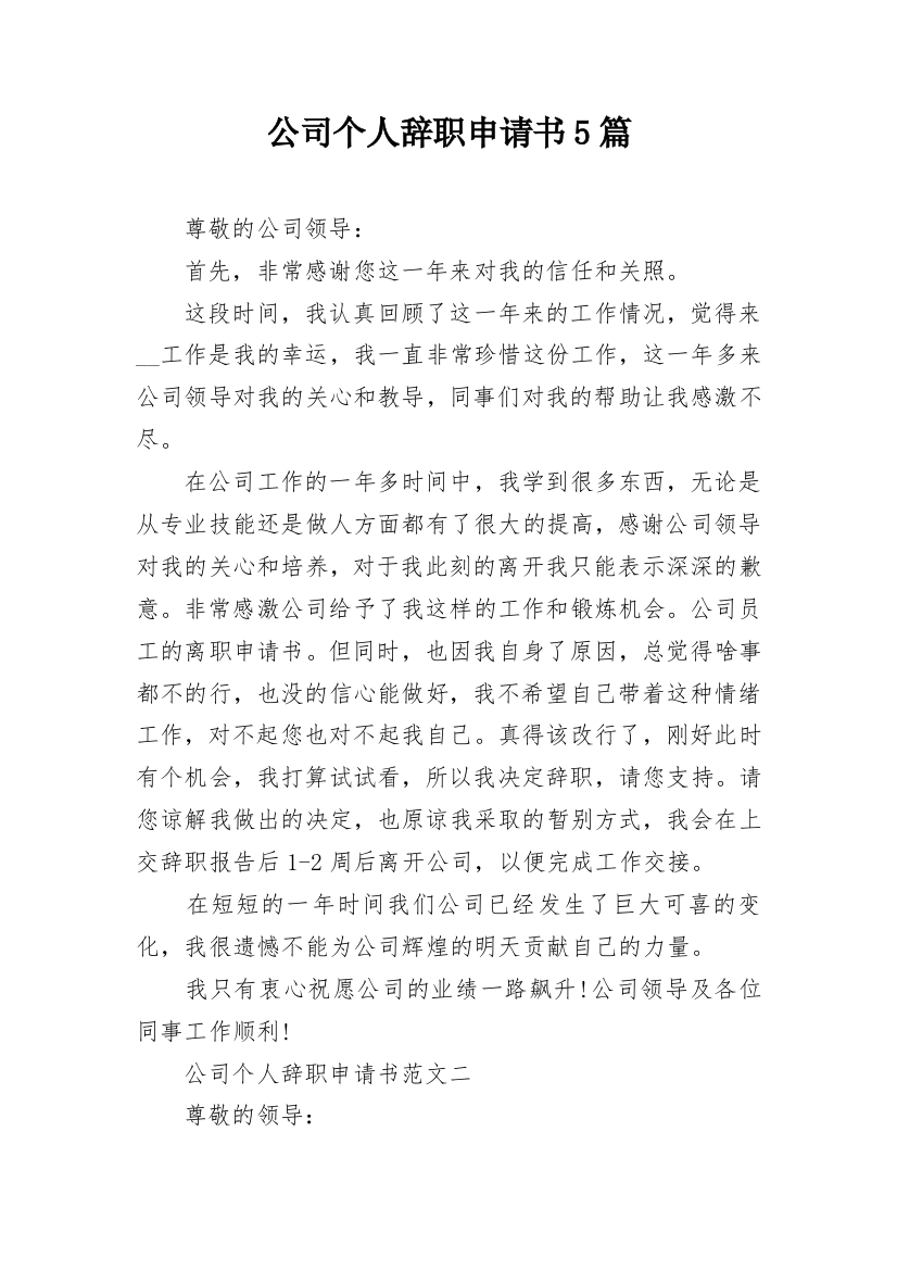 公司个人辞职申请书5篇