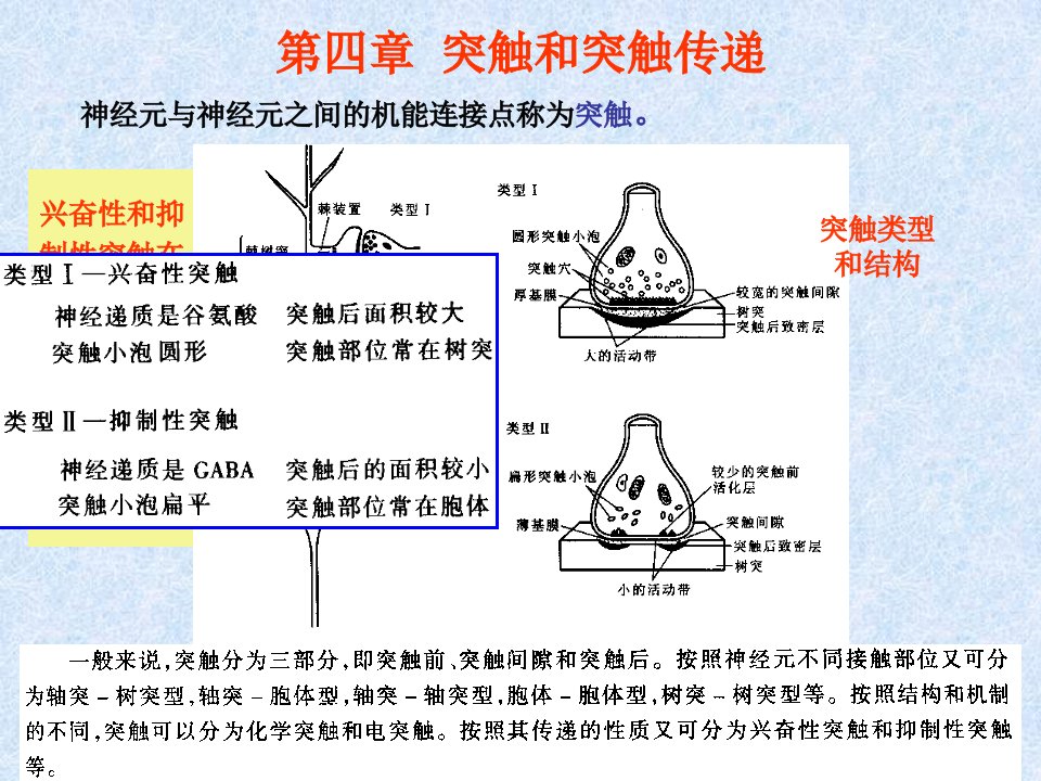 05第4章突触和突触传递第5章N递质和调质