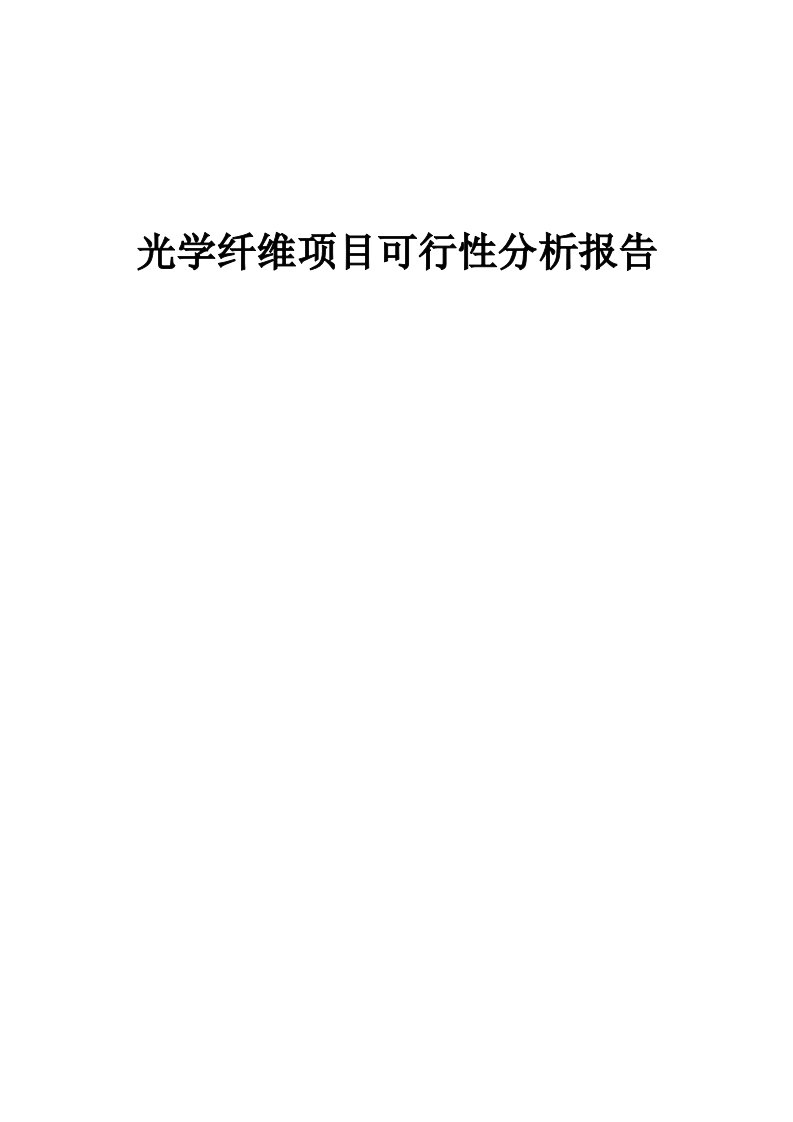 光学纤维项目可行性分析报告