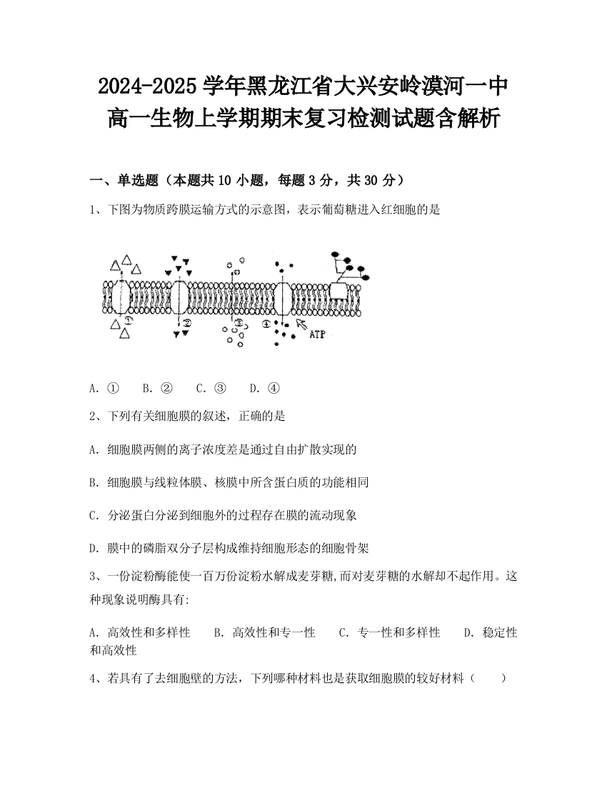 2024-2025学年黑龙江省大兴安岭漠河一中高一生物上学期期末复习检测试题含解析