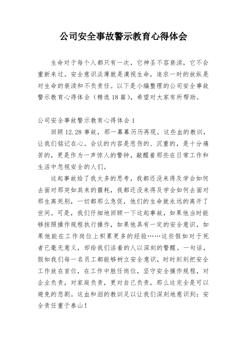 公司安全事故警示教育心得体会