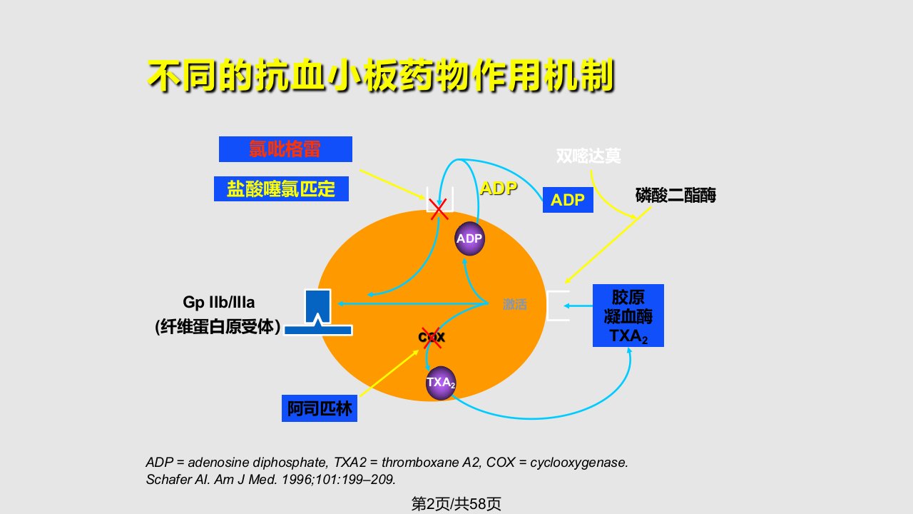 PCI后抗血小板治疗